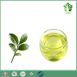 Natural Tea Tree Aromatherapy Body Massage Oil